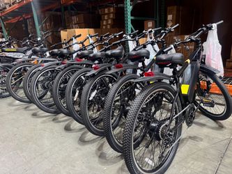 Power-assisted electric bicycle