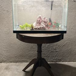20 Gallon Aquarium 