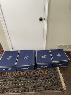 Storage Boxes- Used But Fine. 