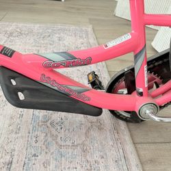Weeride CoPilot Trail-a-Bike 20" Kids Bike Attachment 