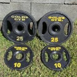 Pair of 10 & 25 Lb Golds Gym Gripper Plates