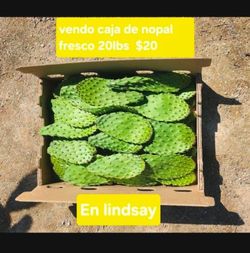 Caja de nopales tiernitos