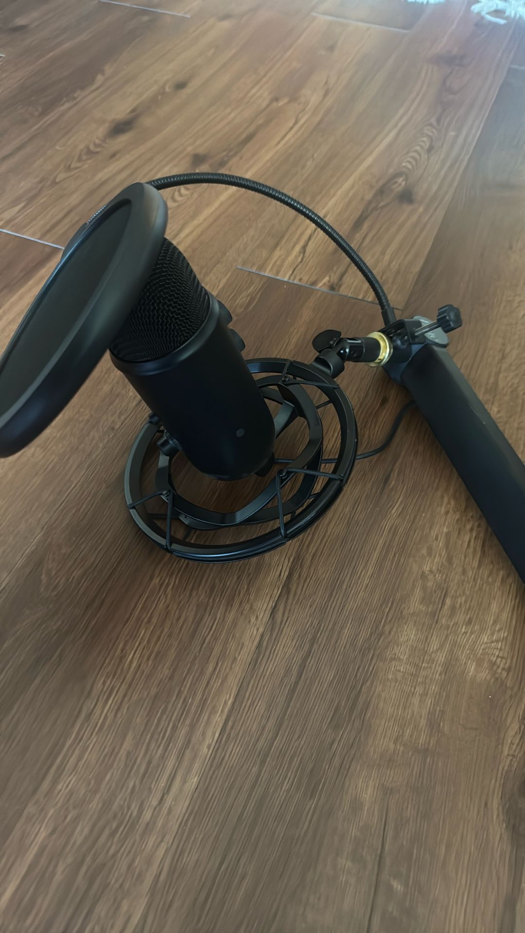Blue Yeti Mic