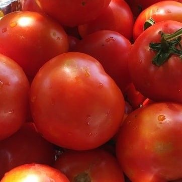 Organic Tomatoe