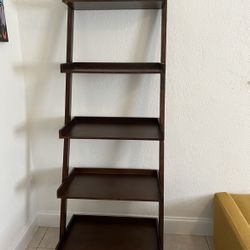 Ladder Shelf