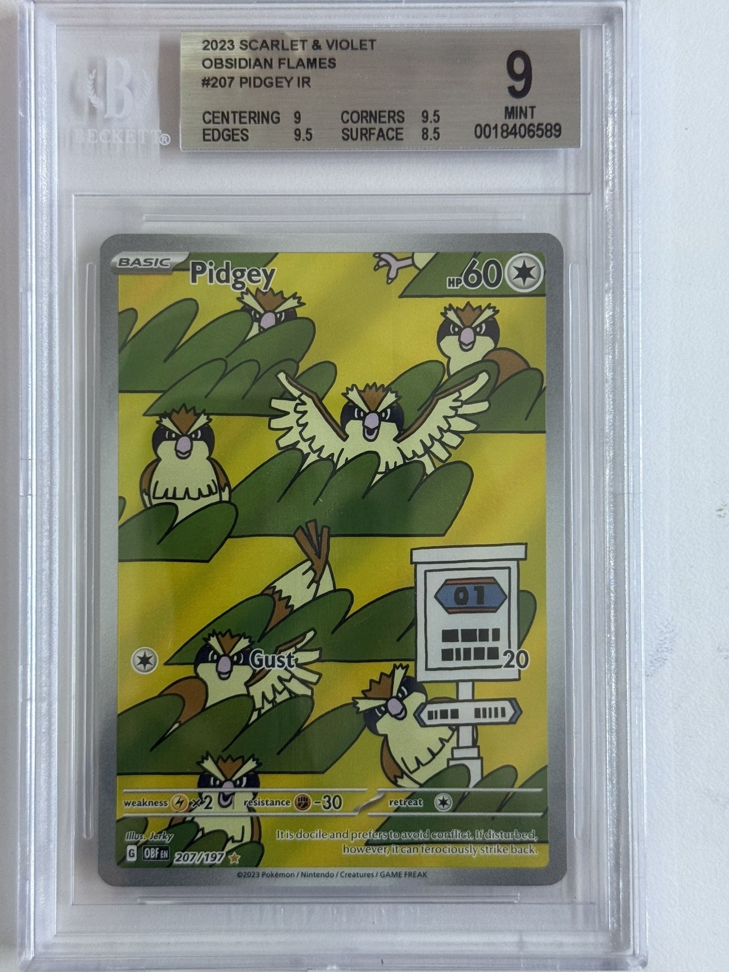 POKEMON - 2023 SCARLET & VIOLET OBSIDIAN FLAMES #207 PIDGEY IR