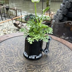 Craftsman Mug with Live Ranunculus