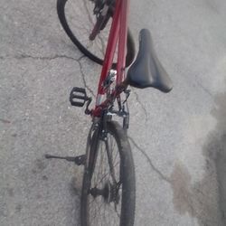 Adult Bike 