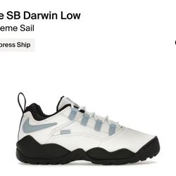 Supreme Nike Sb Darwin Sail Size 12