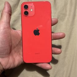 iPhone 12 