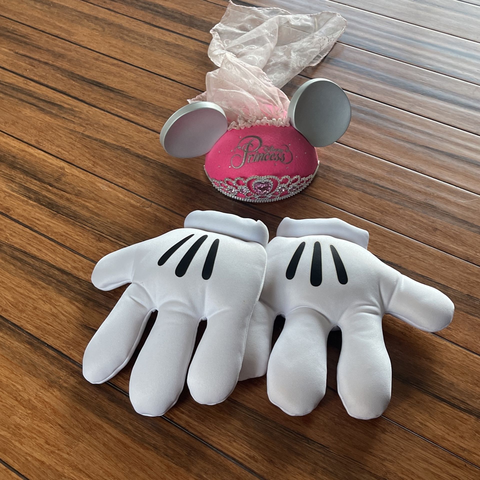 Disney Ears And Gloves