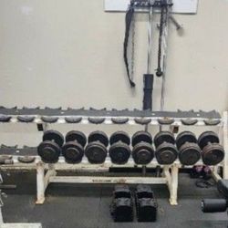 Dumbbells Weights 