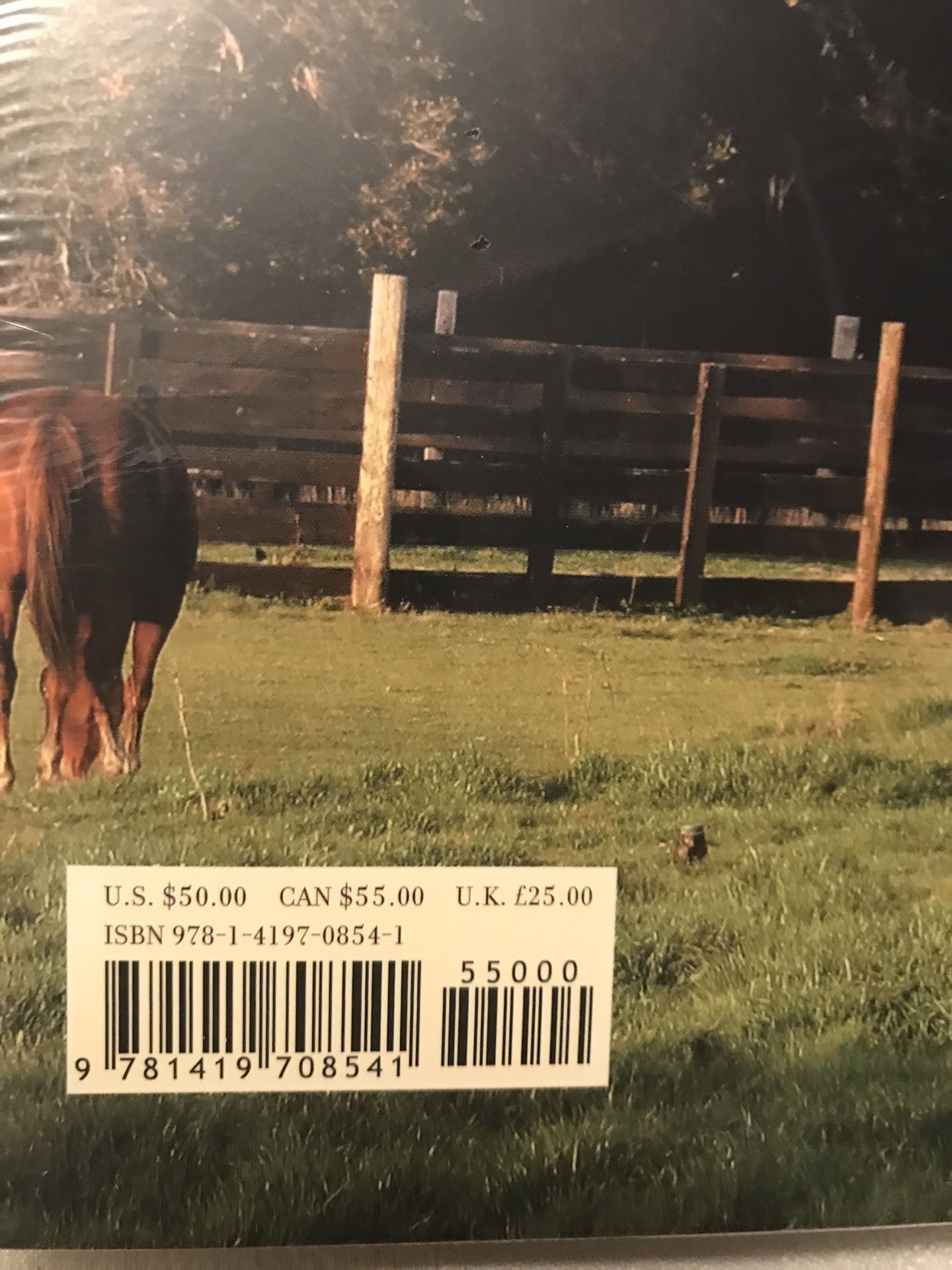 Hearst Ranch