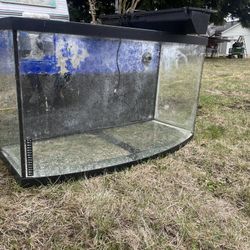 55 Gallon Fish Tank 