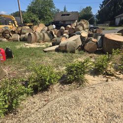 Free Wood!! 