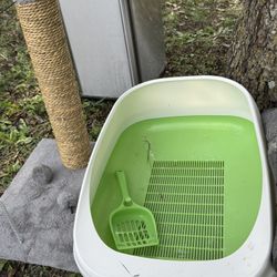 Everything You Need For Your Cat $50