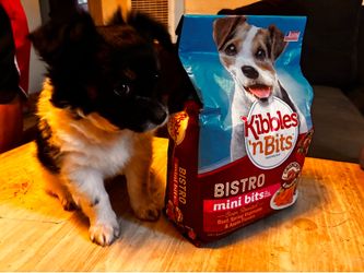Dog food