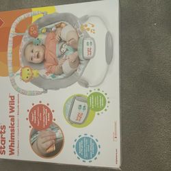 Baby Bouncer 