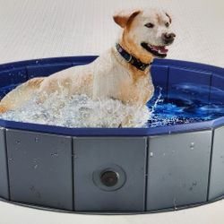 Foldable Dog Pool