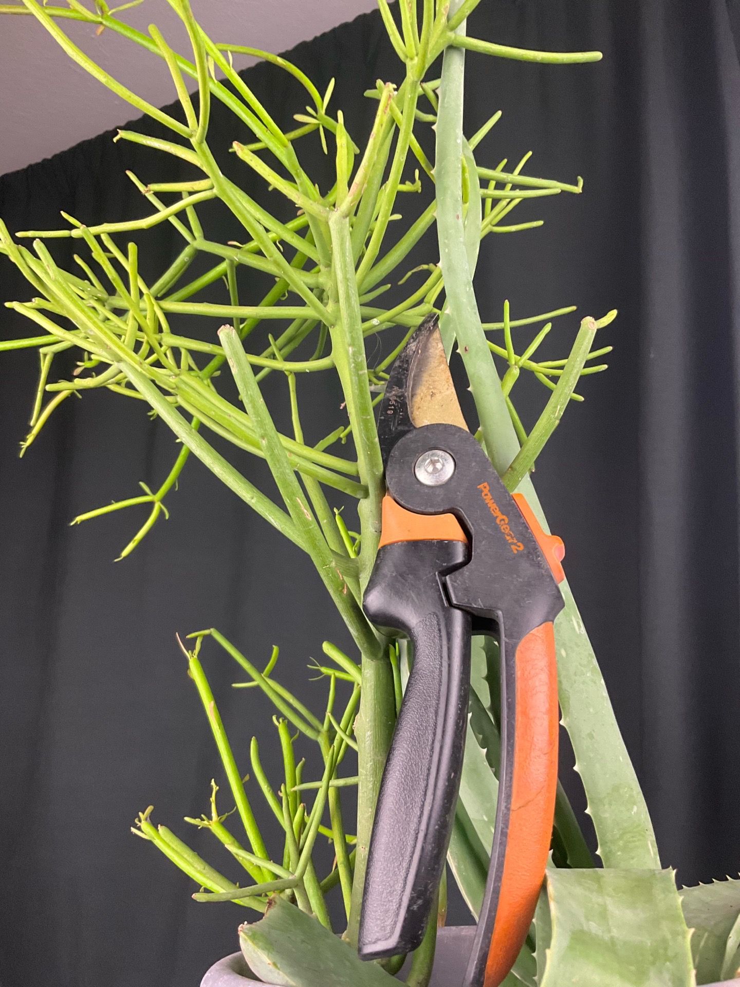 Garden things