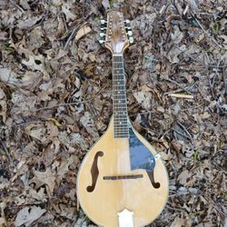 Brand New Mandolin 
