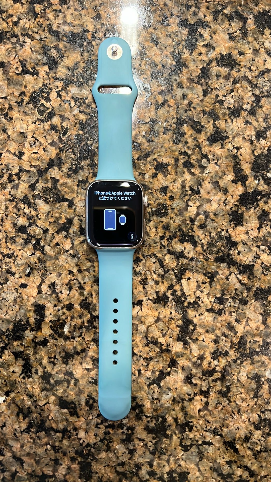 Apple Watch 7 45MM Stainless Steel GPS/LTE