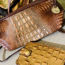 Brahmín Bag And Wallet 