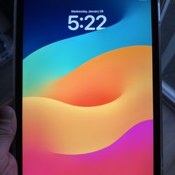 iPad Pro (11-inch) 4th generation 512GB Wi+Cellular Unlocked