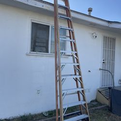 Ladder 12ft Husky