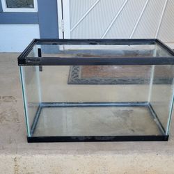 10 Gallon Tank!