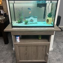 Fish tank With Everything
