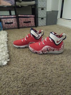 Grafitti Lebrons Size 8.5