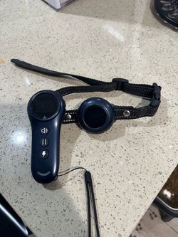 E-Collar