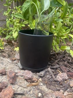 Cute Black Ceramic Pot for Plants 🪴💚💕💙