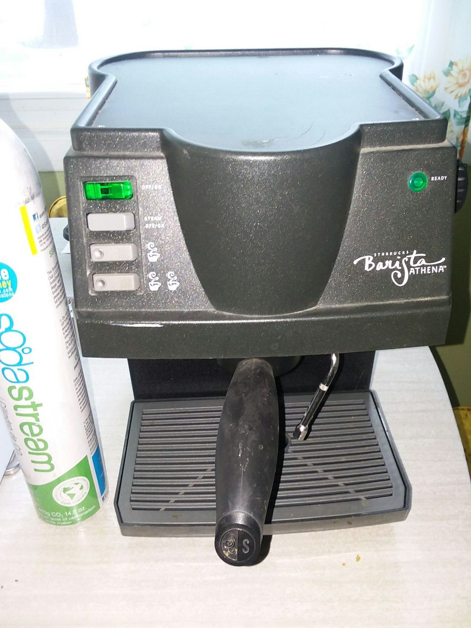 Starbucks top barista athena