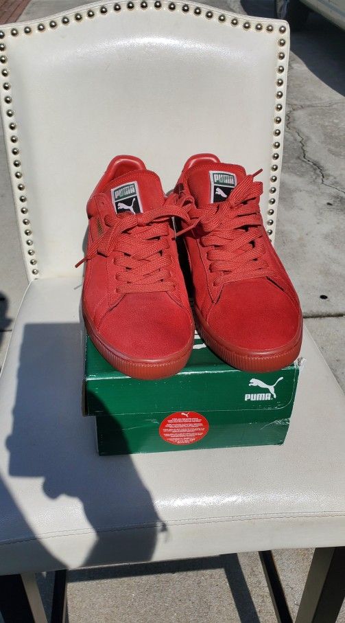 Puma