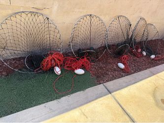 PROMAR NETS