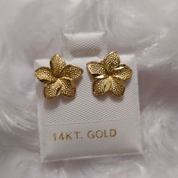14k Flower Earrings ⚜️