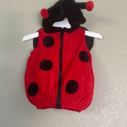 Lady Bug Costume 12 M