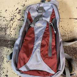 Small backpack with water bag