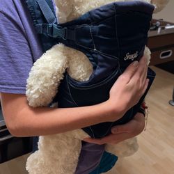 Baby Carrier