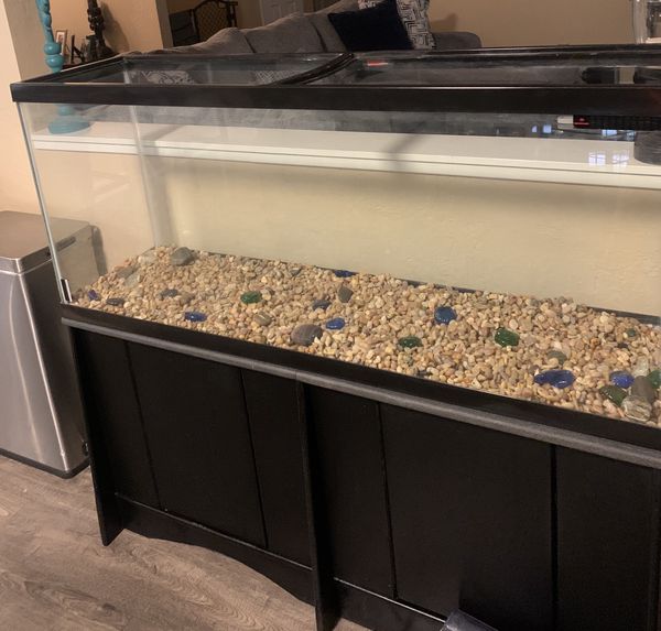 55 Gallon fish tank and stand for Sale in Phoenix, AZ