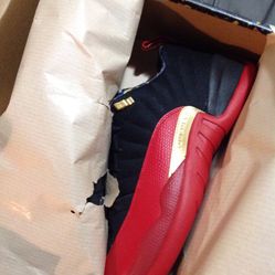 Jordan Retro 12 Low Super Bowl