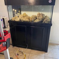Saltwater Glass Fish Tank (holds 75 gallons)