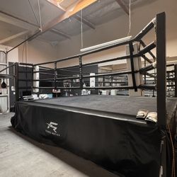 BOXING  RING AND 3 BAGS 