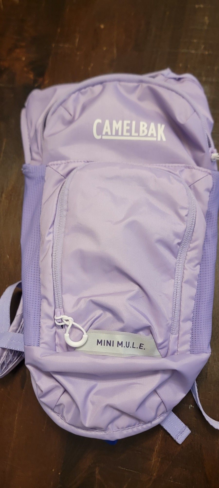 Camelbak Water Backpack