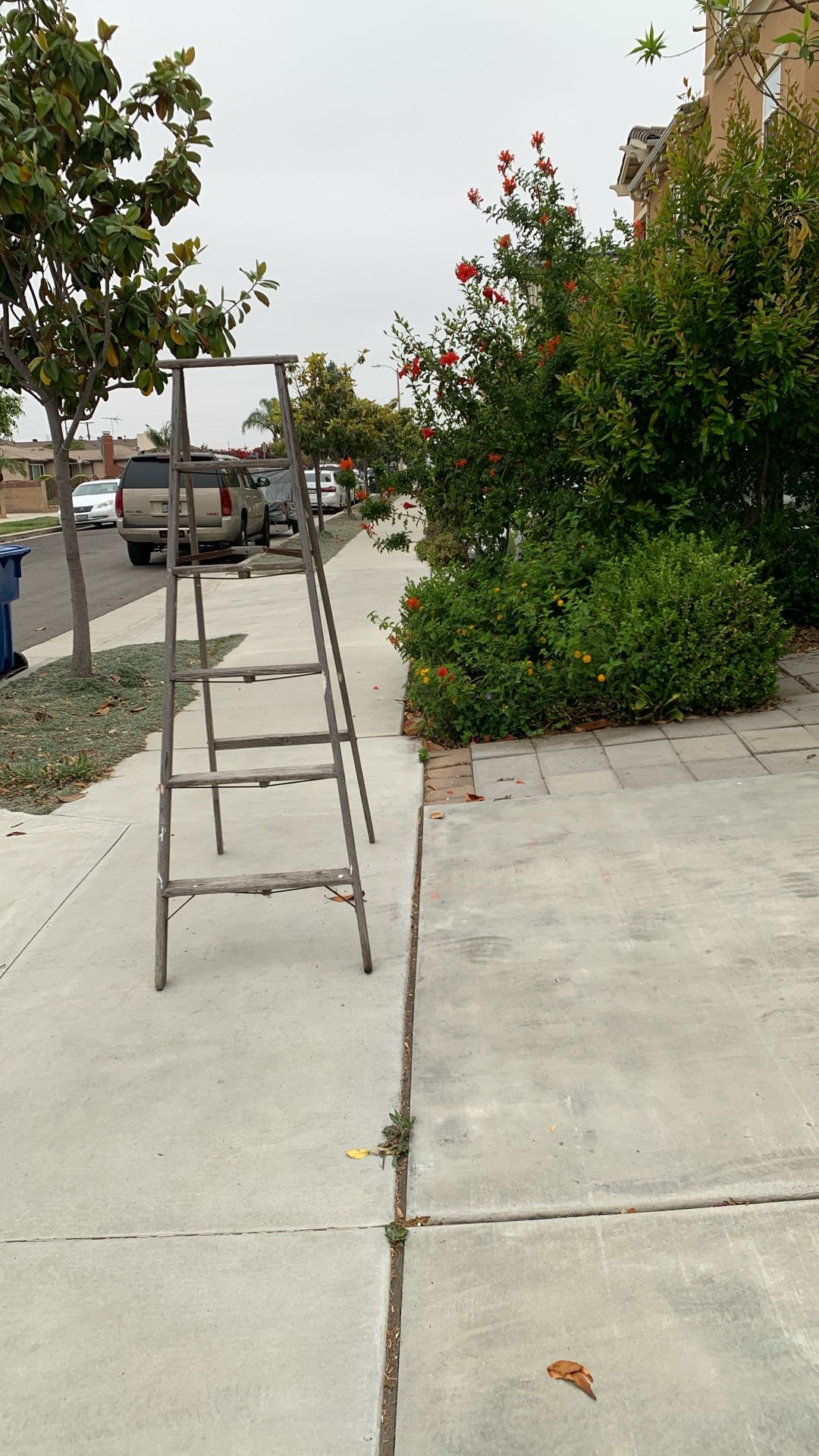 Wooden Ladder