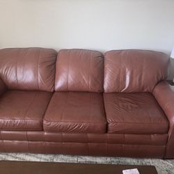 Leather Sleeper Sofa 