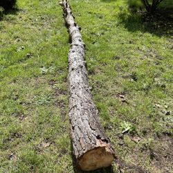 Firewood