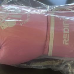 New practice boxing gloves